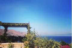 screen_shot_2019_02__p4i3H